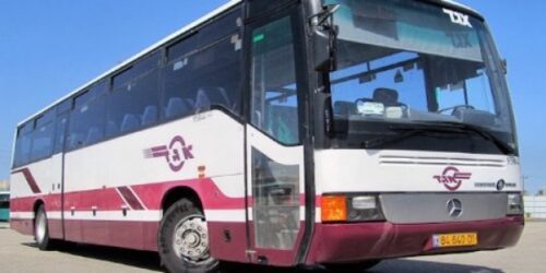 eggedbusblog-600x300 eggedbusblog-600x300